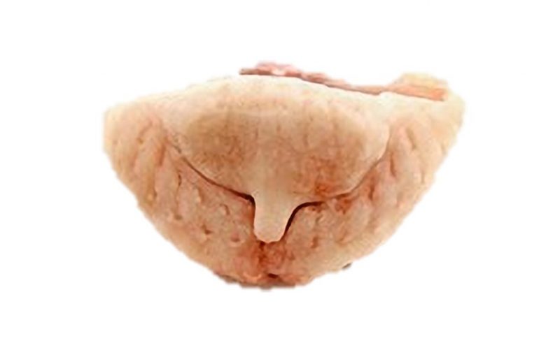 MIĘSO DROBIOWE - KUPRY ŚWIEŻE 