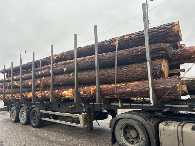 DREWNO SOSNOWE OKRĄGŁE W KORZE