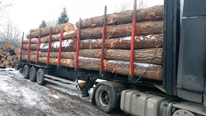 DREWNO SOSNOWE OKRĄGŁE W KORZE