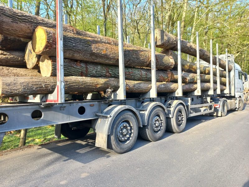 DREWNO DĘBOWE OKRĄGŁE W KORZE