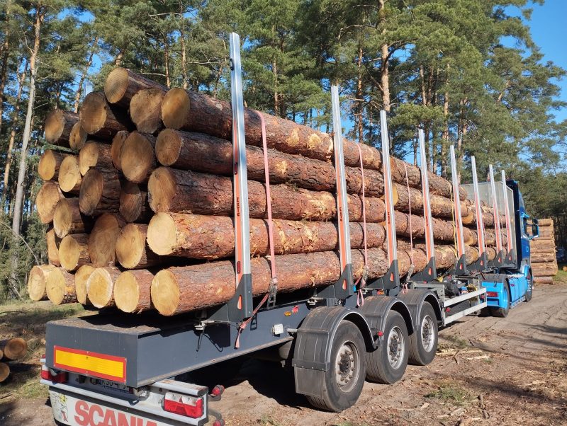 DREWNO SOSNOWE OKRĄGŁE W KORZE