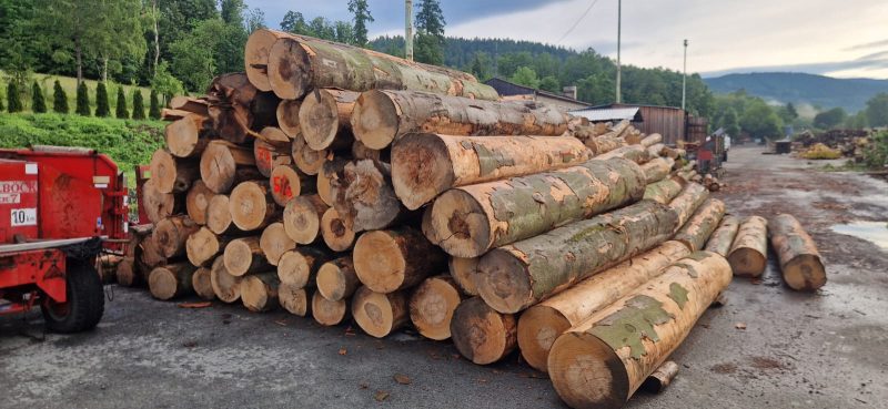 image DREWNO BUKOWE OKRĄGŁE W KORZE  EUROEXPO-NET