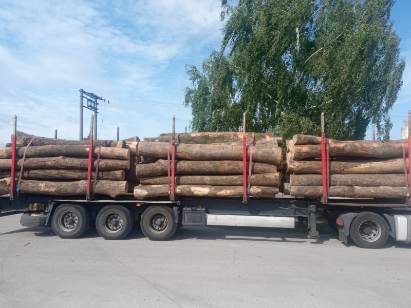 DREWNO JESIONOWE OKRĄGŁE W KORZE 