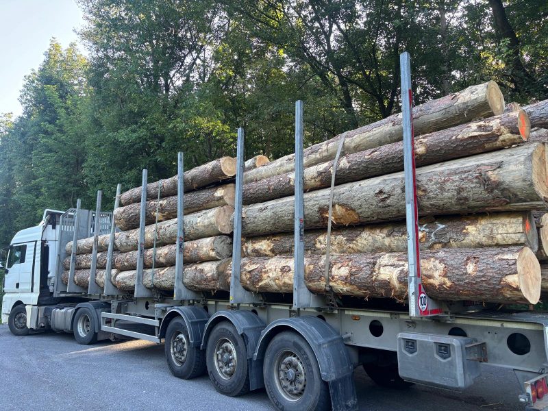 DREWNO SOSNOWE OKRĄGŁE W KORZE 