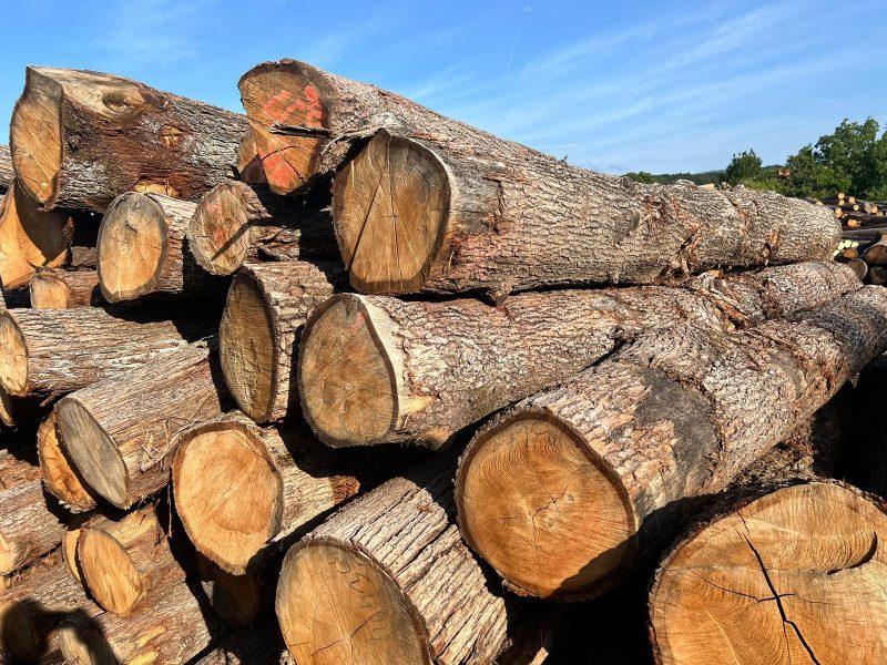 image DREWNO DĘBOWE OKRĄGŁE W KORZE  EUROEXPO-NET