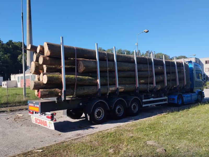 image DREWNO JESIONOWE OKRĄGŁE W KORZE  EUROEXPO-NET