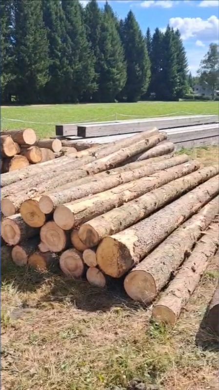 DREWNO SOSNOWE OKRĄGŁE W KORZE 