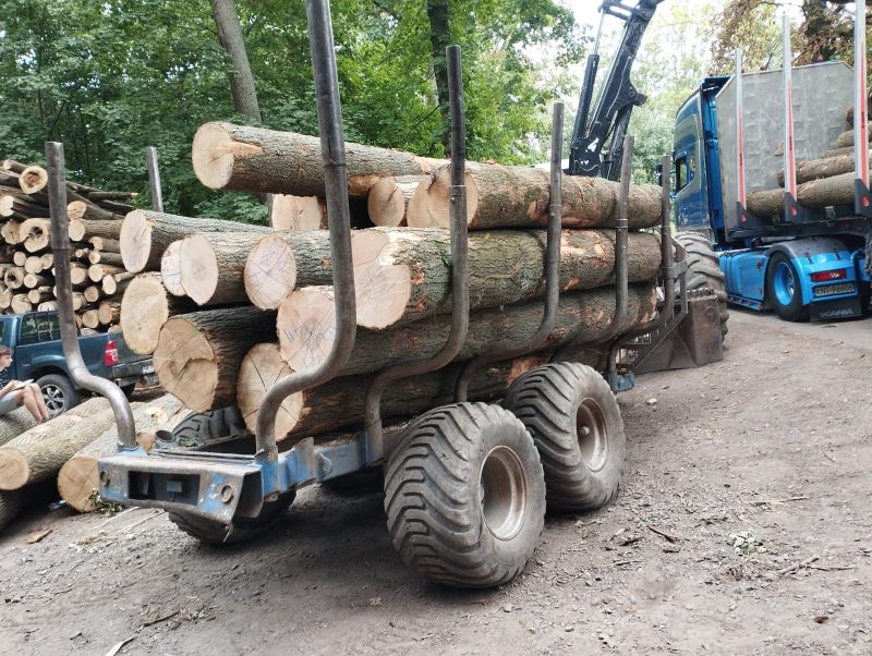 DREWNO JESIONOWE OKRĄGŁE W KORZE 