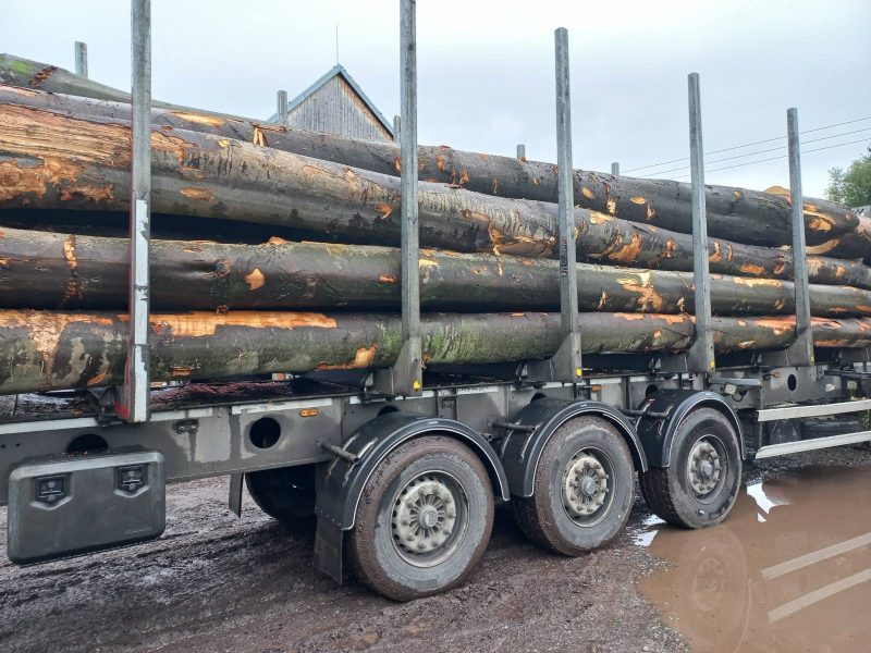 DREWNO BUKOWE OKRĄGŁE W KORZE