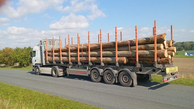 DREWNO BUKOWE OKRĄGŁE W KORZE 