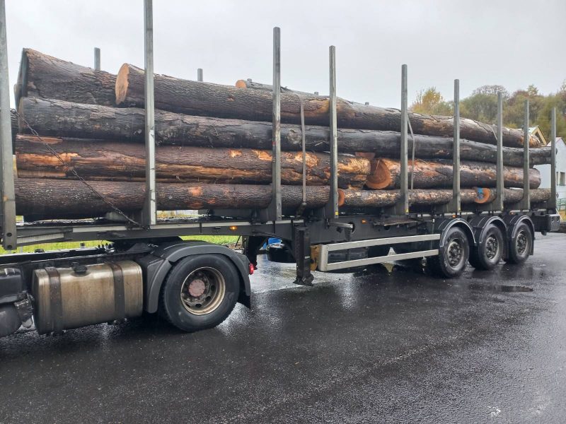 DREWNO JESIONOWE OKRĄGŁE W KORZE 