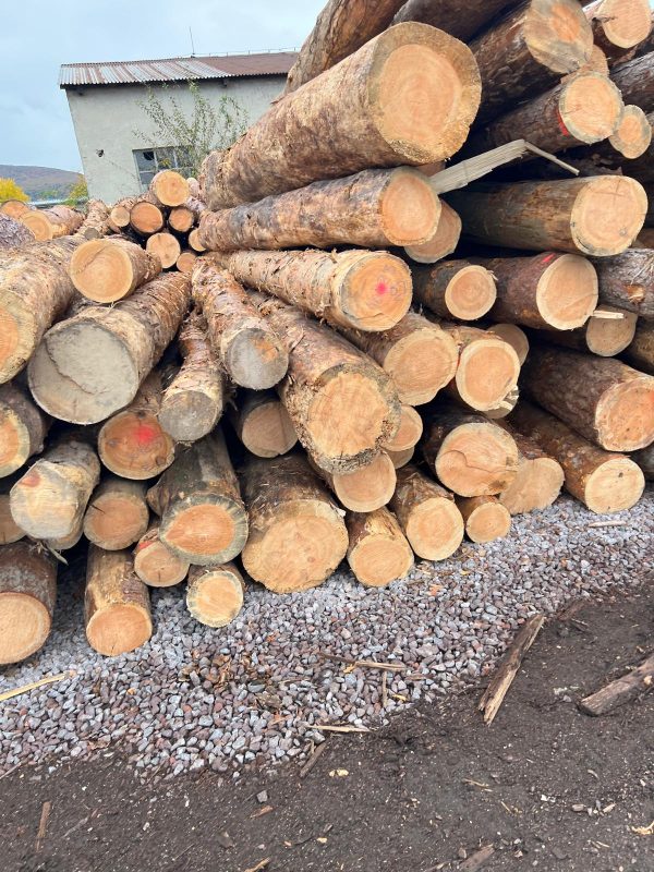 DREWNO SOSNOWE OKRĄGŁE W KORZE