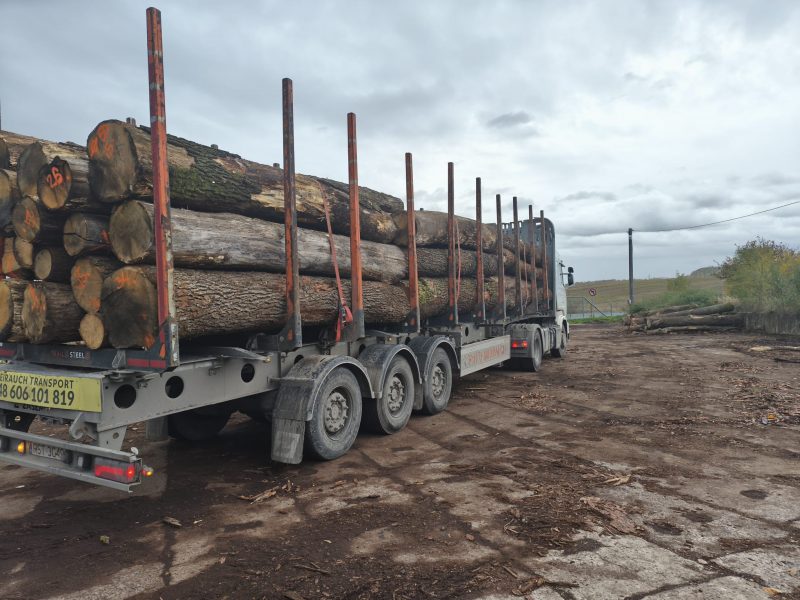 DREWNO DĘBOWE OKRĄGŁE W KORZE 