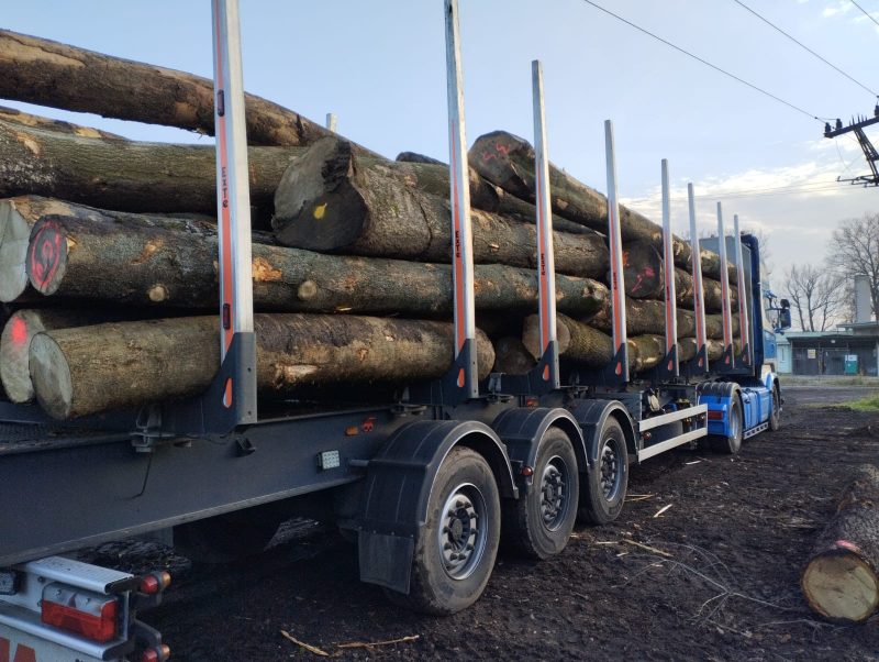 DREWNO JESIONOWE OKRĄGŁE W KORZE 