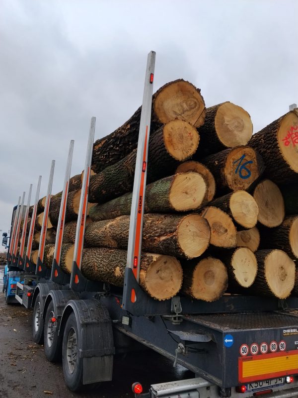 DREWNO JESIONOWE OKRĄGŁE W KORZE