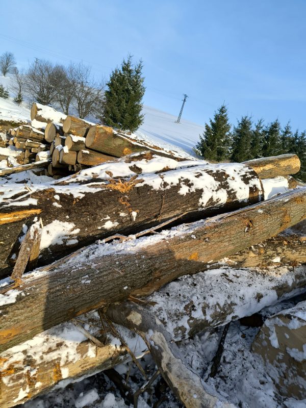 DREWNO LIPOWE OKRĄGŁE W KORZE 