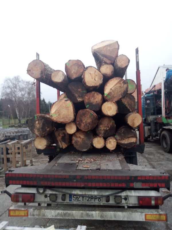DREWNO SOSNOWE OKRĄGŁE W KORZE 