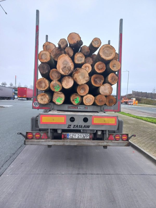 DREWNO JESIONOWE OKRĄGŁE W KORZE 