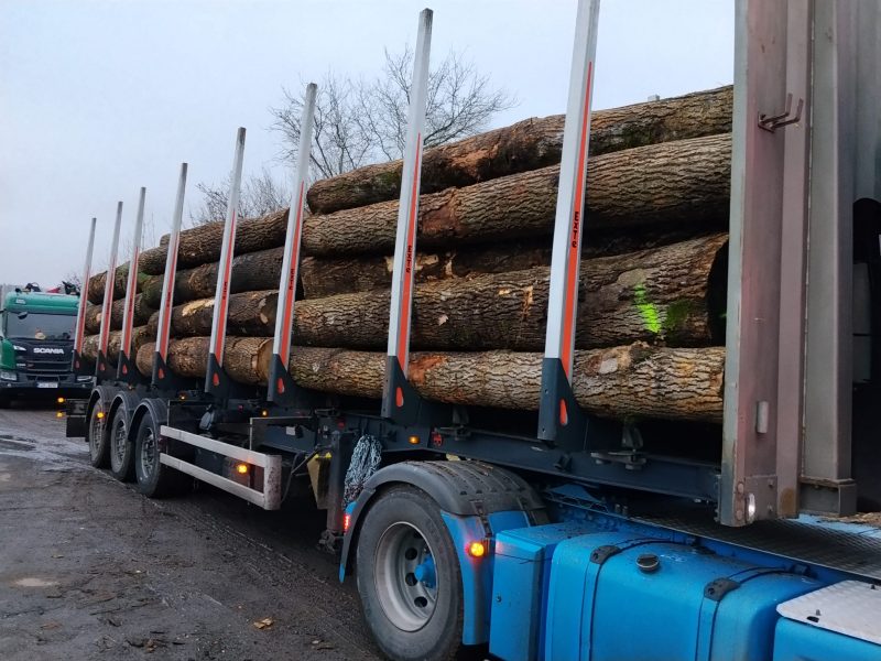 DREWNO JESIONOWE OKRĄGŁE W KORZE 