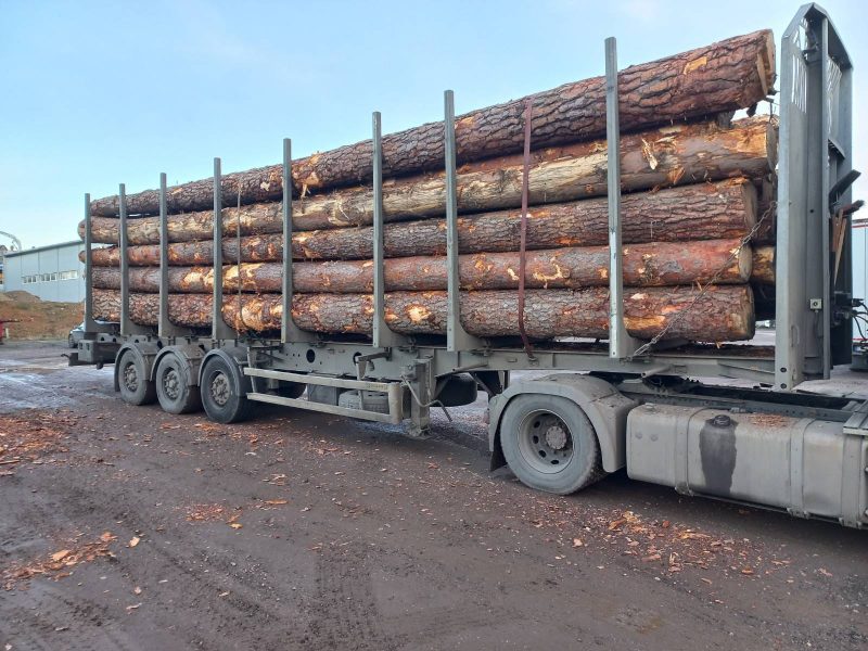 image DREWNO SOSNOWE OKRĄGŁE W KORZE  EUROEXPO-NET