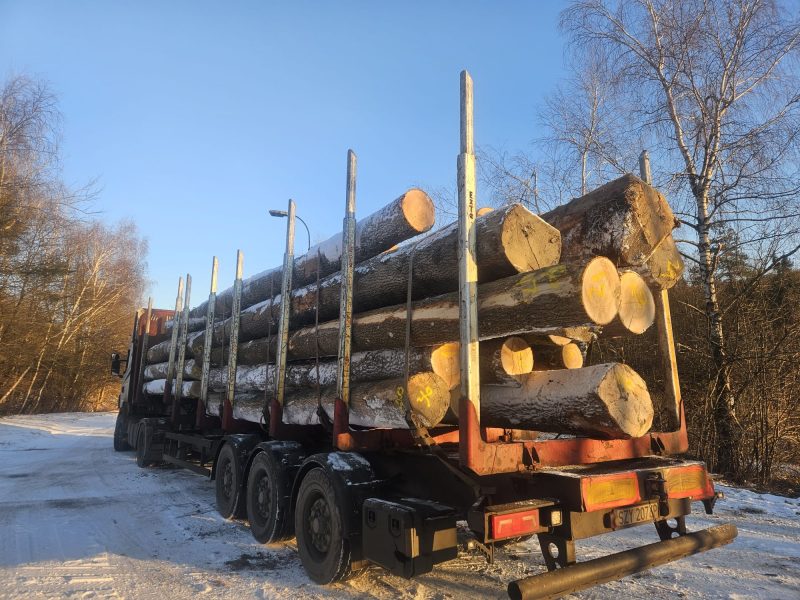 DREWNO JESIONOWE OKRĄGŁE W KORZE 