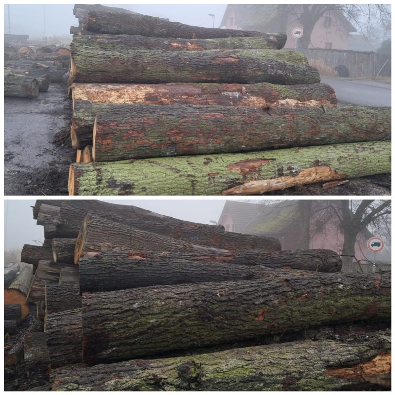 DREWNO DĘBOWE OKRĄGŁE W KORZE 