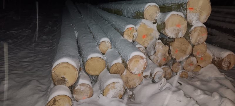 DREWNO ŚWIERKOWE OKRĄGŁE W KORZE 