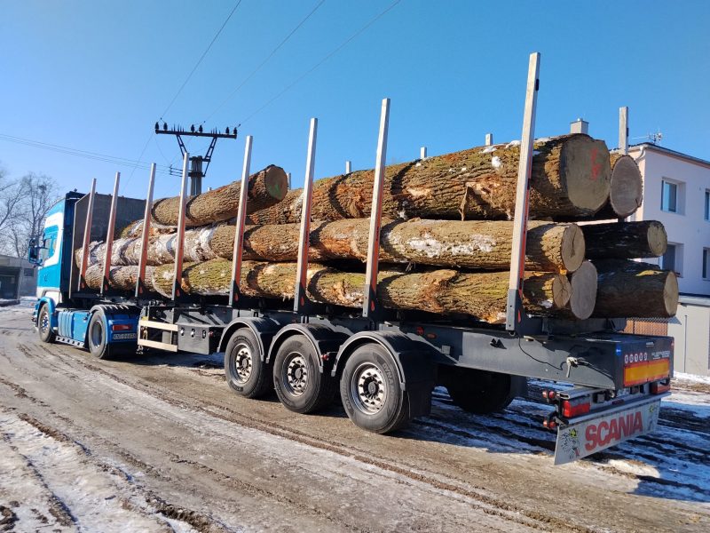 image DREWNO DĘBOWE OKRĄGŁE W KORZE  EUROEXPO-NET