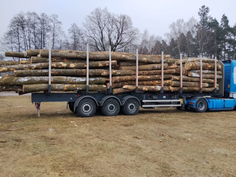 DREWNO JESIONOWE OKRĄGŁE W KORZE 