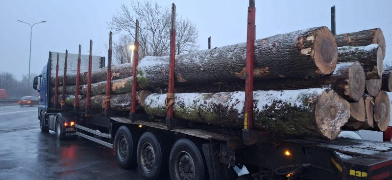 DREWNO JESIONOWE OKRĄGŁE W KORZE 