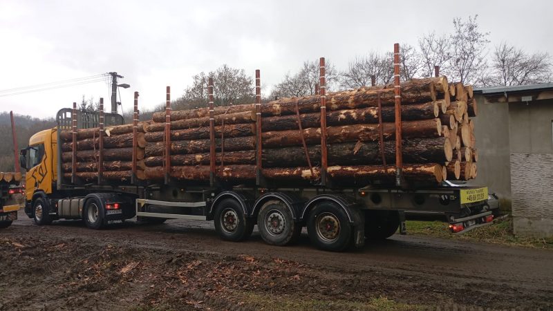 DREWNO SOSNOWE OKRĄGŁE W KORZE 