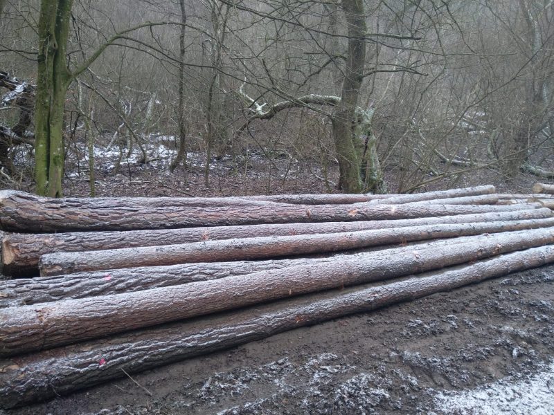 DREWNO SOSNOWE OKRĄGŁE W KORZE 