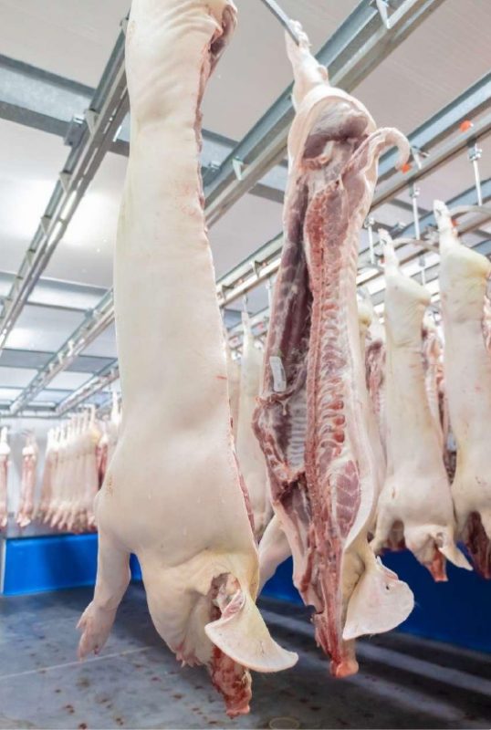 MIĘSO WIEPRZOWE - PÓŁTUSZE 