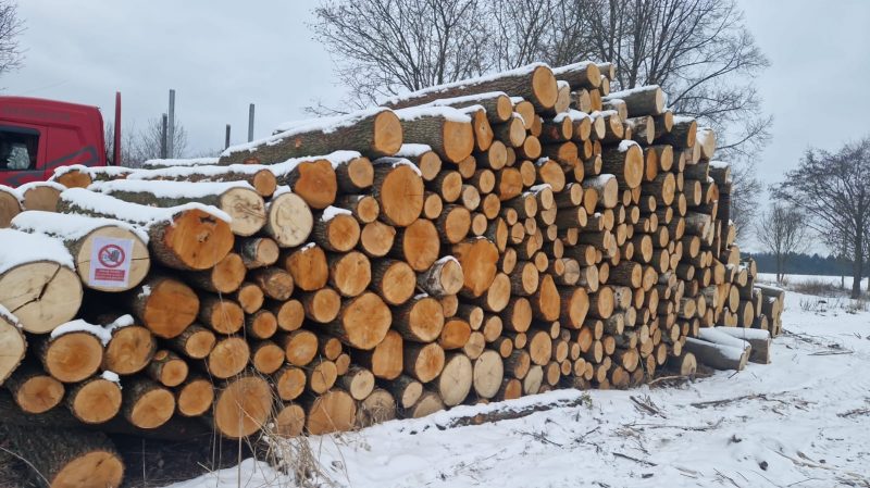 DREWNO LIPOWE OKRĄGŁE W KORZE 