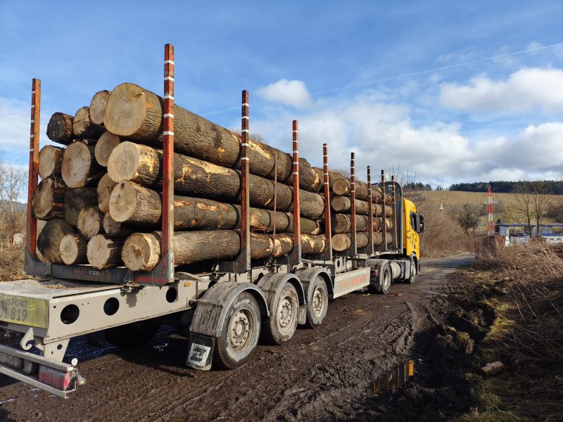 DREWNO JESIONOWE OKRĄGŁE W KORZE 