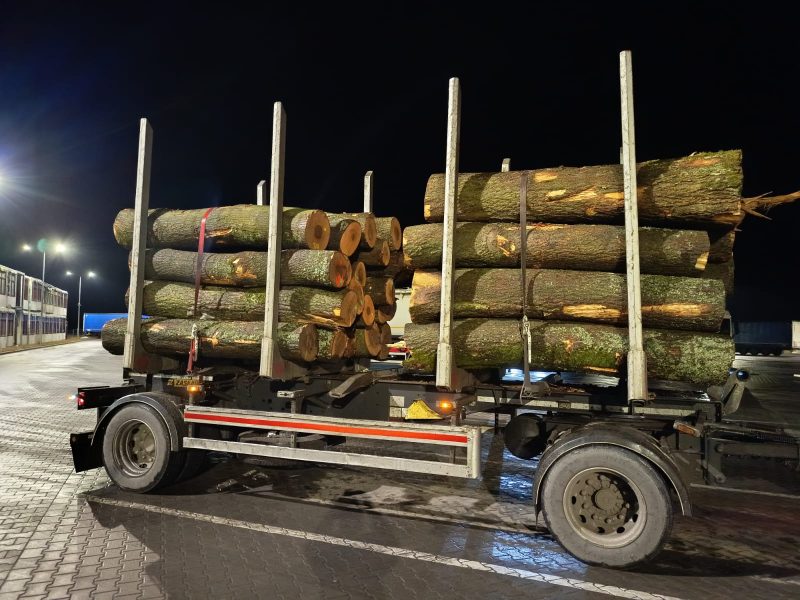 DREWNO JESIONOWE OKRĄGŁE W KORZE 