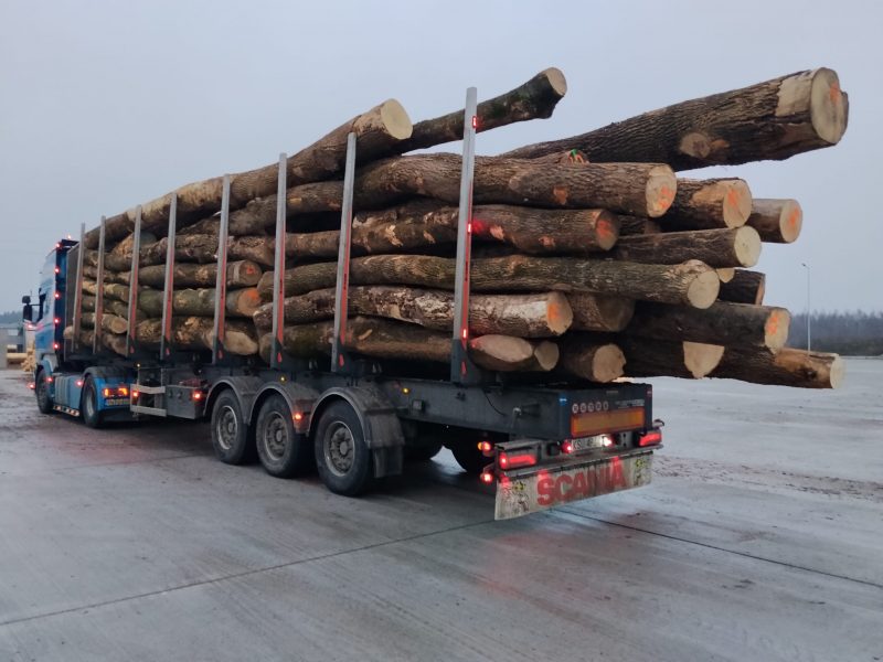 DREWNO JESIONOWE OKRĄGŁE W KORZE 