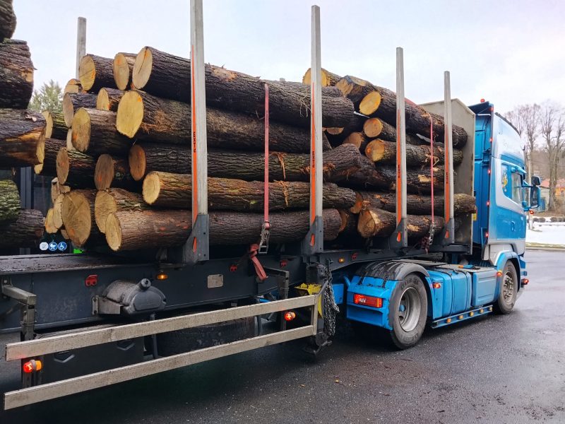 DREWNO DĘBOWE OKRĄGŁE W KORZE 