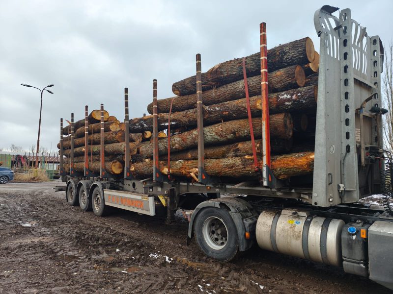 DREWNO DĘBOWE OKRĄGŁE W KORZE 