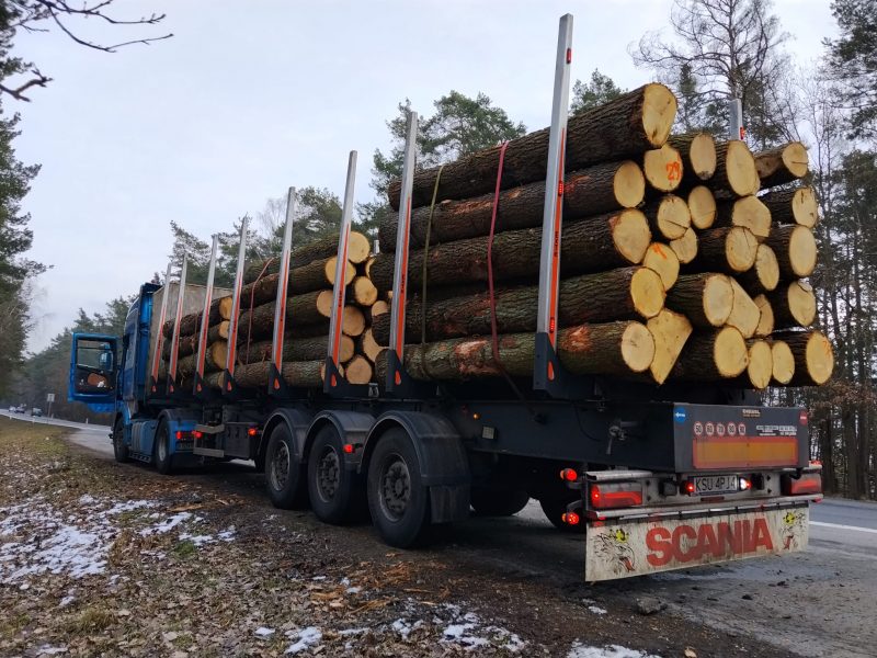 DREWNO DĘBOWE OKRĄGŁE W KORZE 