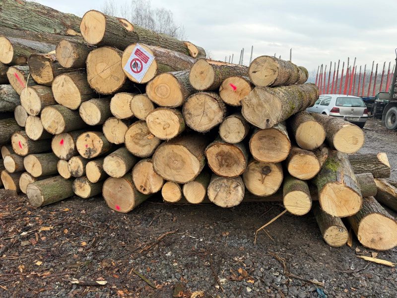 DREWNO LIPOWE OKRĄGŁE W KORZE 