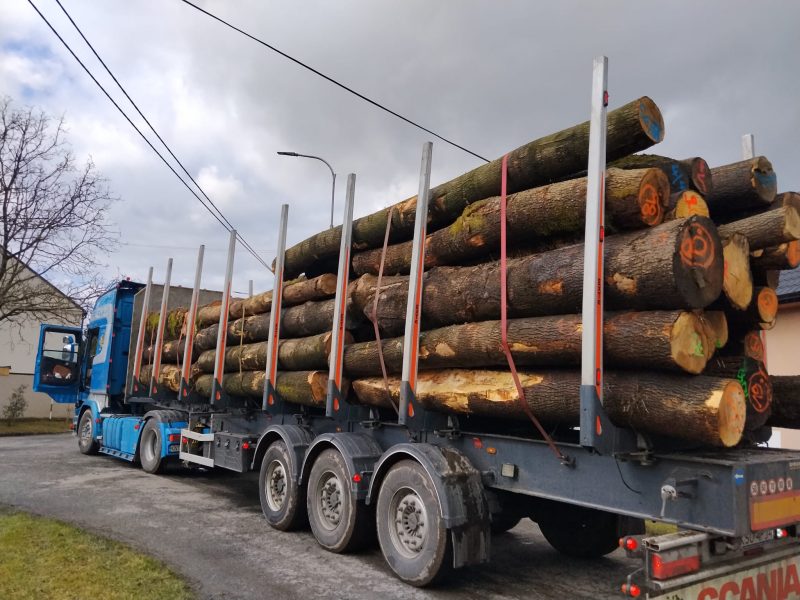 DREWNO JESIONOWE OKRĄGŁE W KORZE 