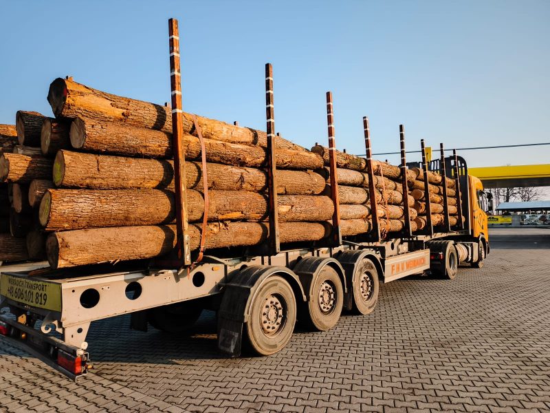 DREWNO DĘBOWE OKRĄGŁE W KORZE 