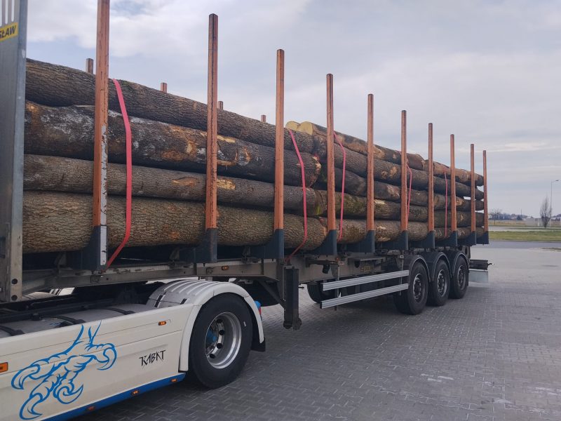 DREWNO JESIONOWE OKRĄGŁE W KORZE 