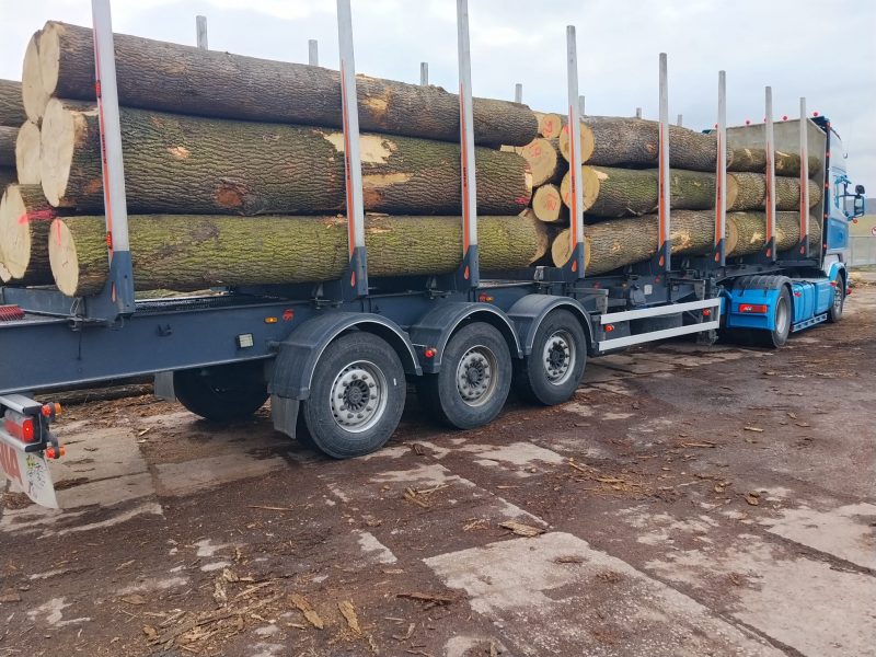 DREWNO JESIONOWE OKRĄGŁE W KORZE 