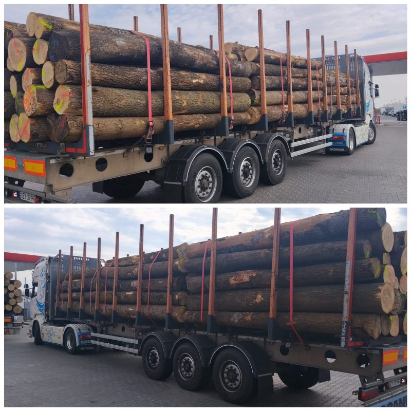 DREWNO JESIONOWE OKRĄGŁE W KORZE 