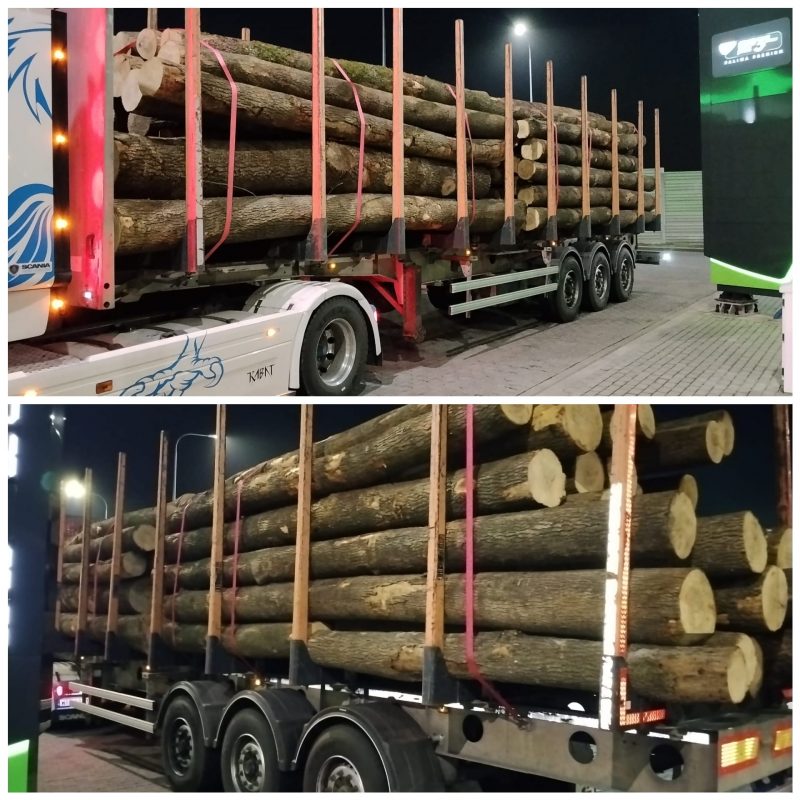 DREWNO JESIONOWE OKRĄGŁE W KORZE 