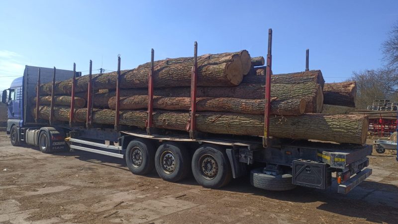 DREWNO DĘBOWE OKRĄGŁE W KORZE 