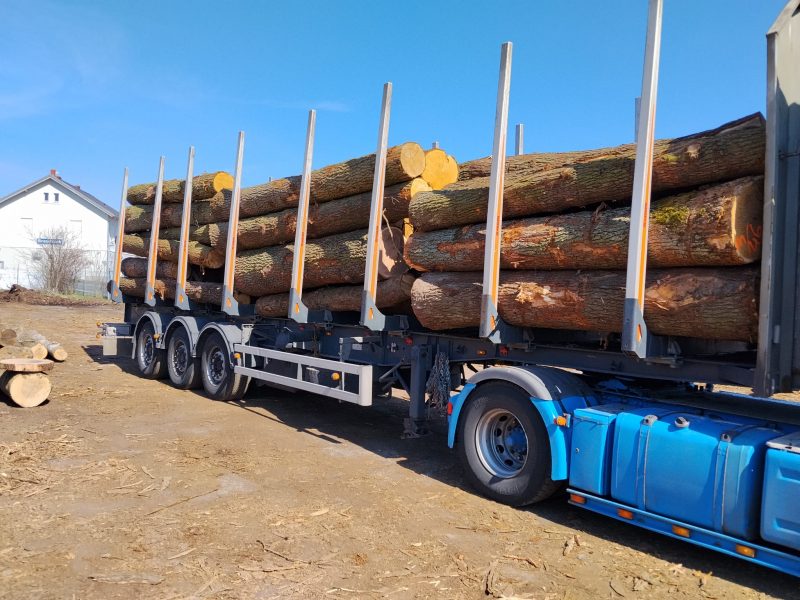 DREWNO DĘBOWE OKRĄGŁE W KORZE 