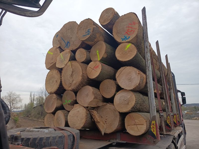 DREWNO JESIONOWE OKRĄGŁE W KORZE 